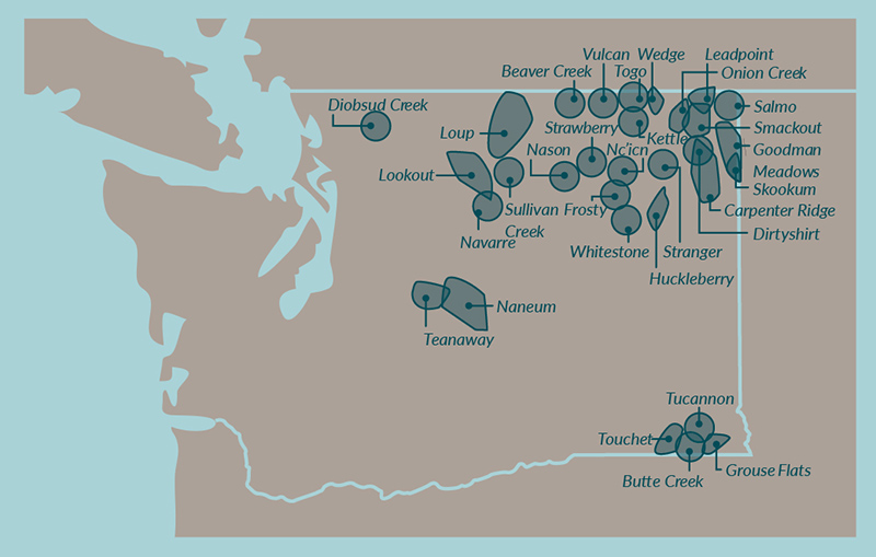 Illustrated map showing wolf packs in Washington state