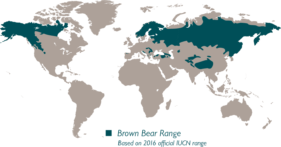 A world map showing the brown bears range in dark green, covering parts of North America, Europe, and Asia, primarily in Alaska, Canada, Russia, and northern Europe. Text says Brown Bear Range, Based on 2016 official IUCN range.