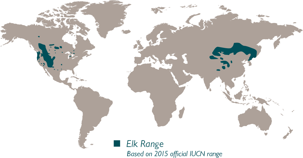 World map showing elk range highlighted in dark green, covering parts of western North America and several areas in central and eastern Asia. Map is labeled Elk Range, Based on 2015 official IUCN range.