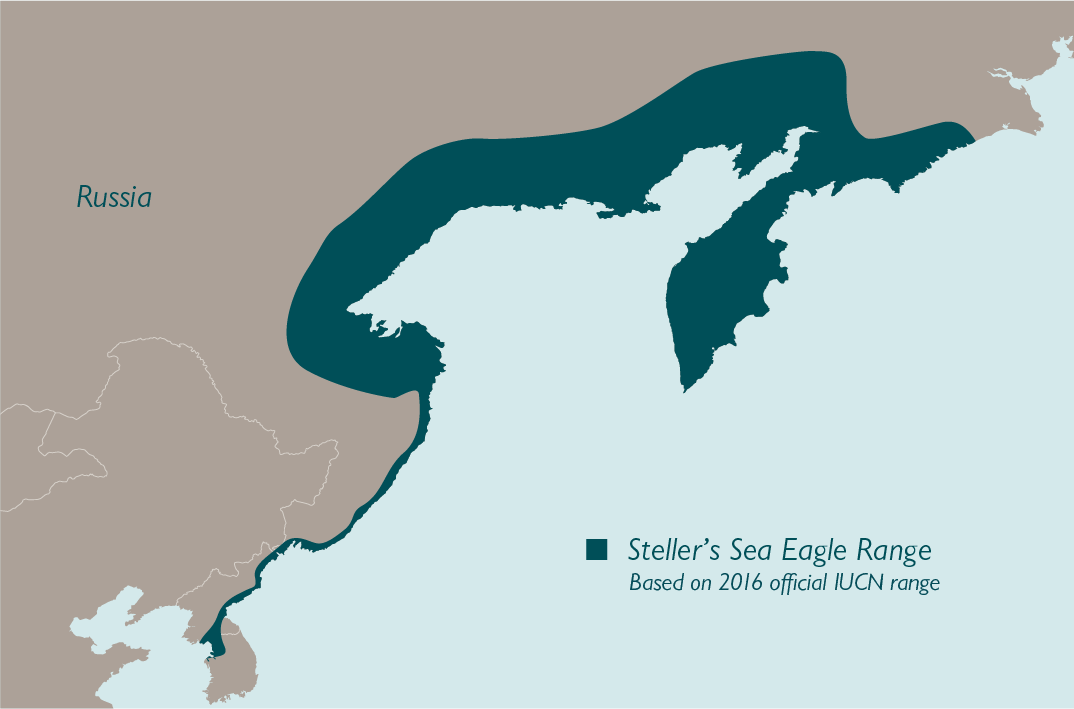 Map showing the range of Steller’s Sea Eagle along coastal northeastern Russia, extending south to the Korean Peninsula and parts of Japan, based on the 2016 official IUCN range.