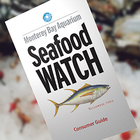 A Monterey Bay Aquarium Seafood Watch consumer guide with a yellowfin tuna illustration on the cover.
