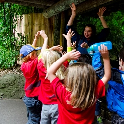 Discoveries Day Camp Discoveries Day Camp