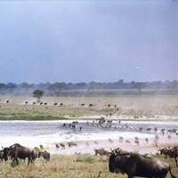 Africa Biome Margaret