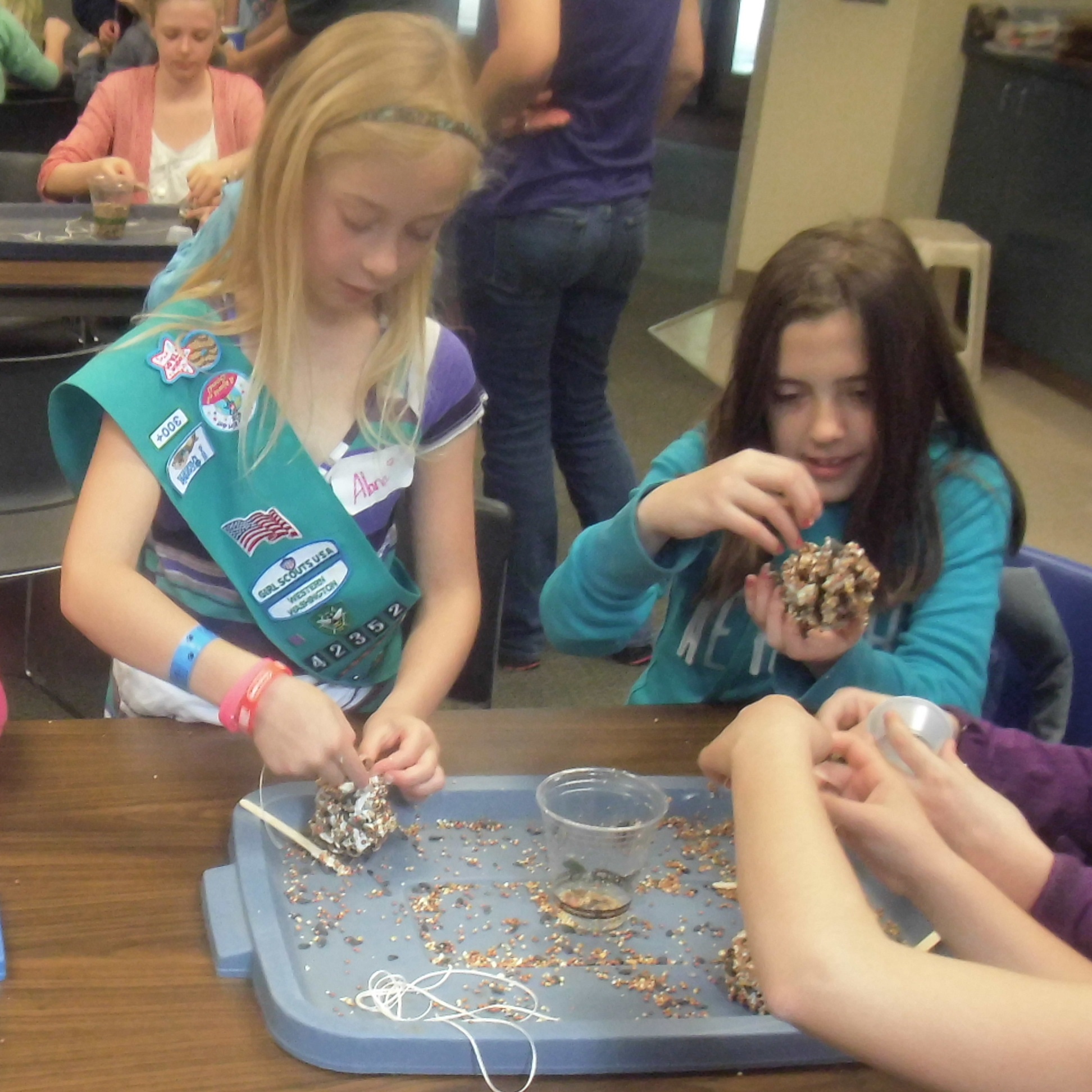 Register for a Scout Class GIrl Scout Class Juniors