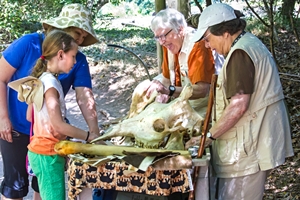 Adult Volunteering