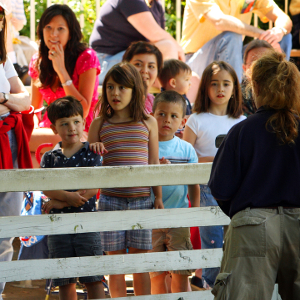 Clicker Training & You/Animal Enrichment