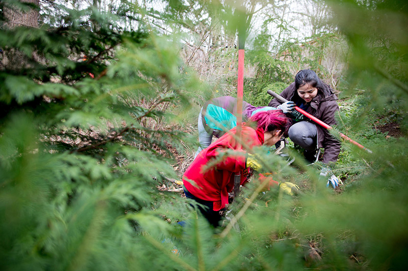 Three people, partly hidden by green foliage, work together in an outdoor setting, possibly gardening or planting trees. One person holds a red-handled tool and smiles while engaging in the activity.