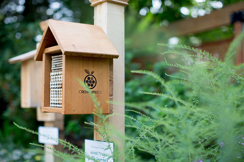 A wooden bee house labeled CROWN BEES is mounted on a post in a lush garden, surrounded by greenery and blurred plants in the foreground.