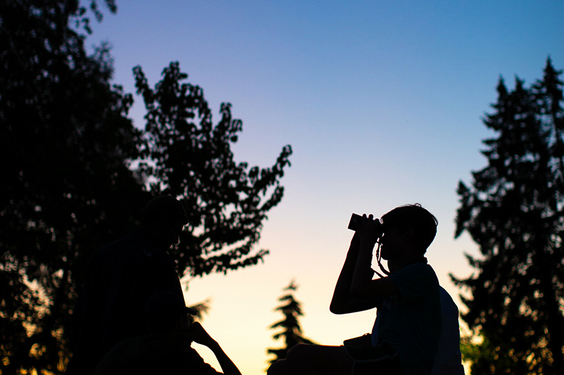Silhouettes of people outdoors at sunset, one person holding binoculars to their eyes, surrounded by trees against a colorful evening sky.