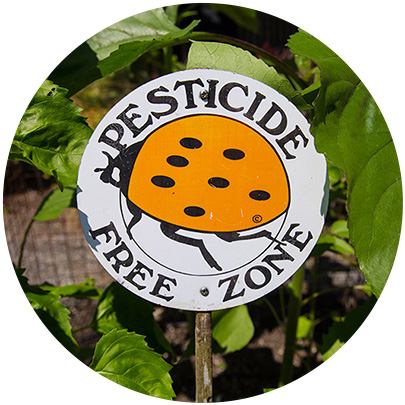 A round sign with a yellow ladybug and the words Pesticide Free Zone displayed among green plants.