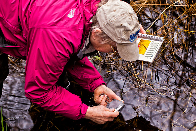 A person in a pink jacket and beige cap crouches by the edge of a pond, using a device to test the water while holding a guidebook. Dry grasses surround the reflective surface.