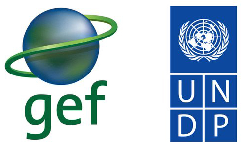 GEF and UDP Logo Lockup