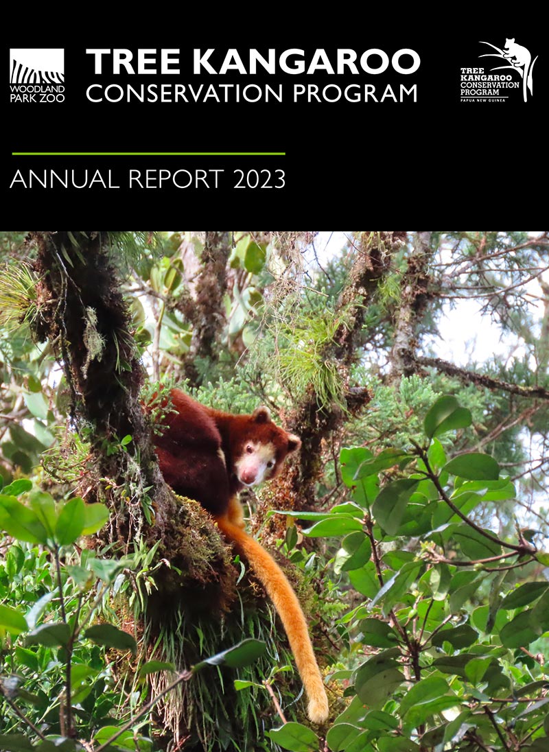 A reddish-brown tree kangaroo with a long yellow tail sits on a mossy tree branch surrounded by green foliage. Text above reads: Tree Kangaroo Conservation Program Annual Report 2023.