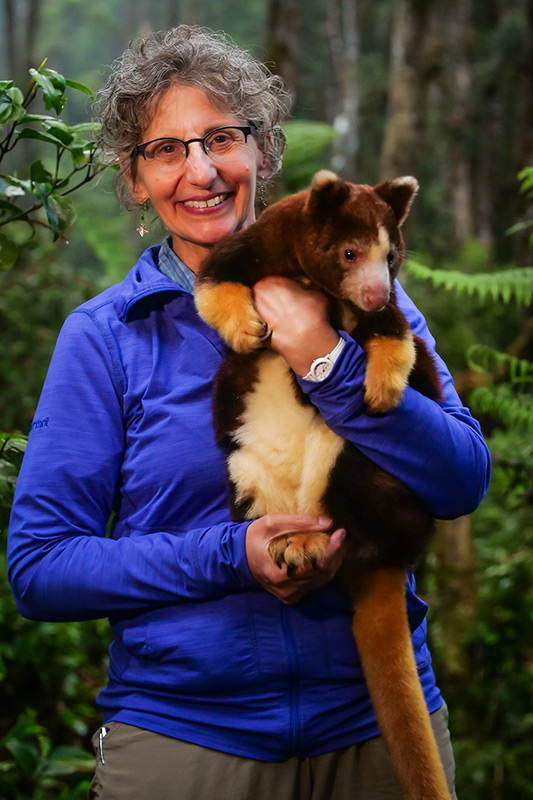 Lisa Dabek, a woman with curly gray hair and glasses, wearing a blue jacket, smiles while holding a brown and cream-colored tree kangaroo in a lush forest
