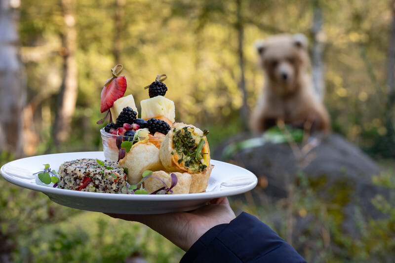 A hand holds a plate of assorted fresh food and fruit in the foreground, while a bear sits on a rock in the blurred background amidst trees.