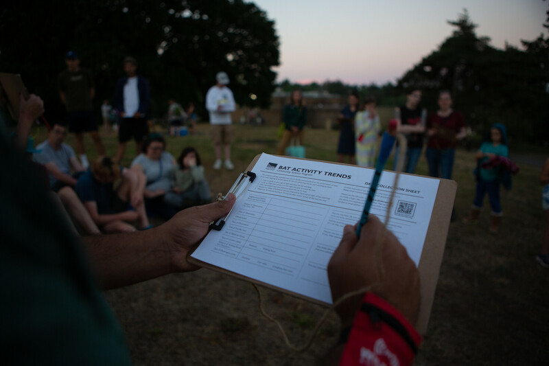 A person holds a clipboard with a “Bat Activity Trends” data sheet, standing outdoors in a grassy area while a group of people, some seated and some standing, gather in the background at dusk.