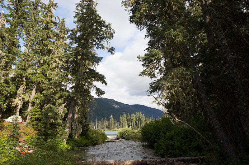 A river flows through a forest with tall evergreen trees on both sides. In the background, there are mountains and a cloudy sky. A tent is partially visible among trees on the left side.