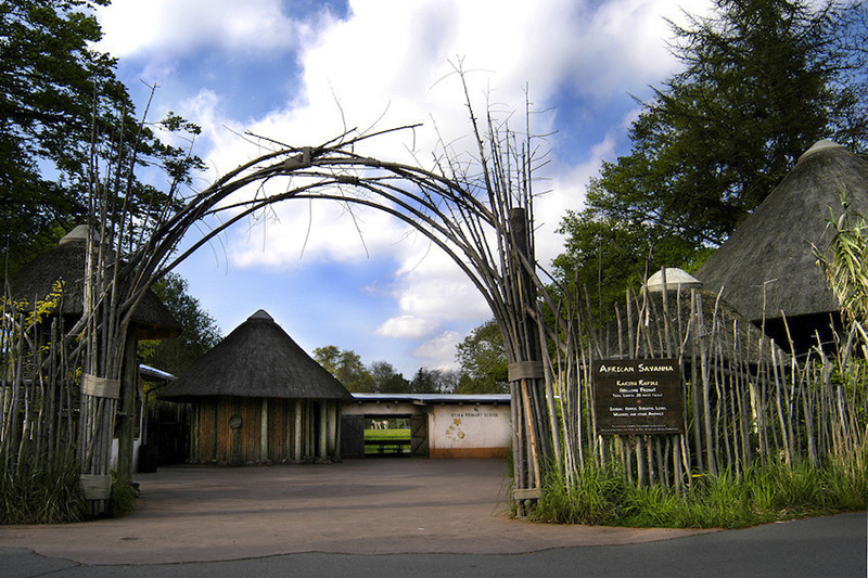 Entrance to the African Village with a large wooden archway, thatched-roof buildings, lush greenery, and a sign reading African Savannah. The sky is partly cloudy.