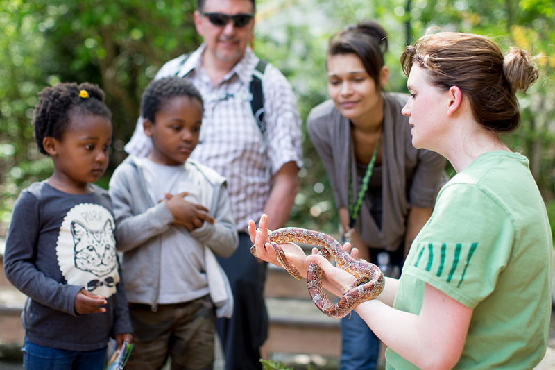 A woman holds a snake and shows it to two children and two adults outdoors. The group looks on with curiosity and interest, surrounded by greenery.