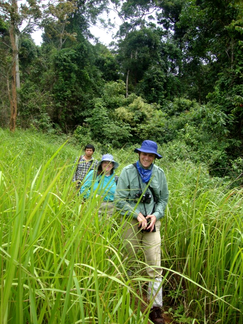 Three people wearing hats and outdoor clothing walk through tall grass on a narrow trail in a lush, green forest. The dense trees and foliage create a vibrant jungle setting.