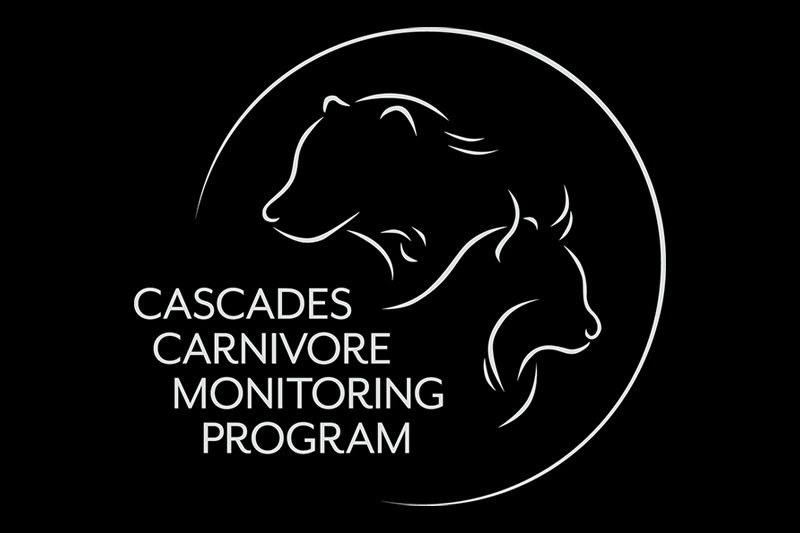 White outline drawings of a bear and a cougar inside a circle on a black background, with text reading Cascades Carnivore Monitoring Program below the animals.