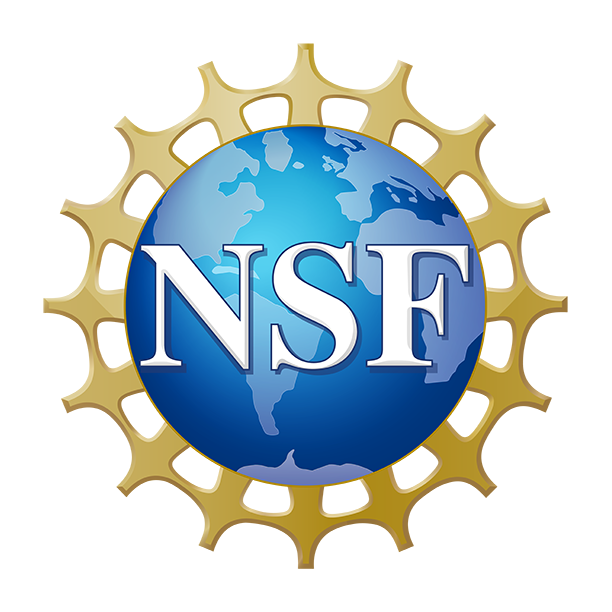 The NSF logo features a blue globe with white continents, overlaid with large white letters NSF and surrounded by a gold, gear-like border.