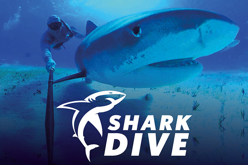 A diver takes a selfie underwater near a large shark. The text SHARK DIVE with a shark logo is overlaid at the bottom of the image.