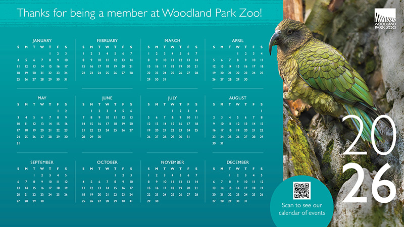 2026 calendar for Woodland Park Zoo with a photo of a parrot on a branch, Woodland Park Zoo logo, and a QR code to scan for event calendar. Text says, Thanks for being a member at Woodland Park Zoo!.