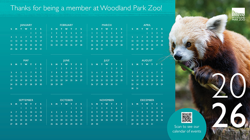 2026 calendar from Woodland Park Zoo with a photo of a red panda on the right side. Text thanks members and there is a QR code for event information at the bottom. The zoos logo is in the top right corner.