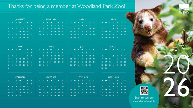 A 2026 calendar from Woodland Park Zoo features a tree kangaroo on the right, zoo logo at the top, and a QR code to view events at the bottom. Months are arranged in three rows with a blue and green background.