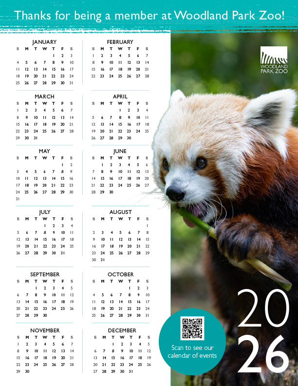 2026 calendar with a photo of a red panda eating bamboo on the right. Text at the top says “Thanks for being a member at Woodland Park Zoo!” and there is a QR code for the event calendar at the bottom.