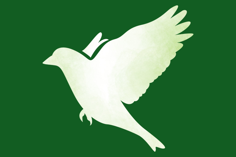 A light green silhouette of a bird in flight is centered on a dark green background. The bird’s wings are raised and its beak points to the left.
