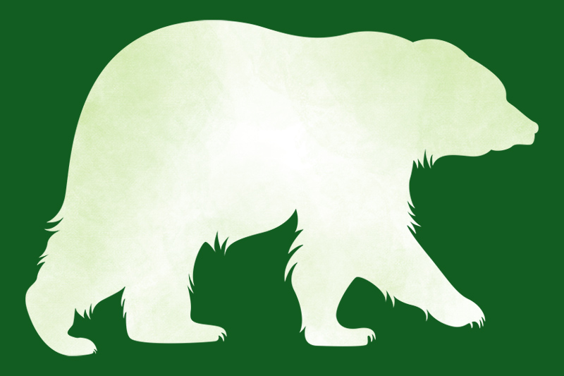 A white silhouette of a bear walking on all fours, set against a solid green background.