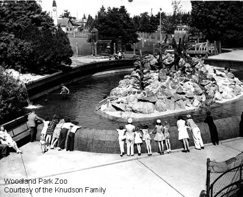 Black and white historical  photo of people, including children, leaning over a low wall to observe a seal exhibit with rocky structures and water at Woodland Park Zoo. Trees and zoo buildings are visible in the background.