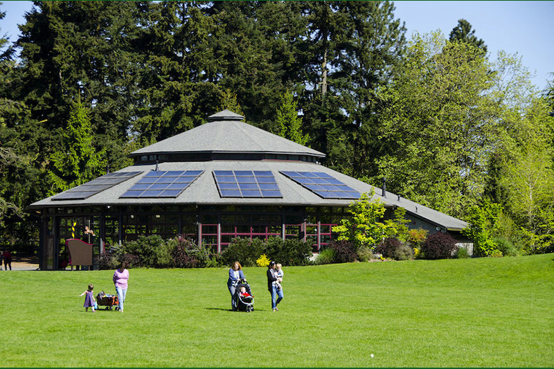 People walk across a grassy field toward a pavilion with solar panels on its roof, surrounded by trees on a sunny day. Some push strollers, and the area appears peaceful and green.