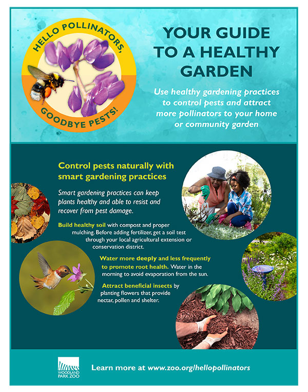 Informational poster titled Your Guide to a Healthy Garden, promoting healthy gardening to control pests and attract pollinators. Includes illustrations of flowers, insects, birds, and gardening tips like proper mulching and watering.