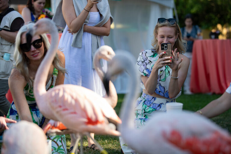 Two women smile and interact with several flamingos outdoors. One woman kneels, while the other woman crouches and takes a photo with her phone. Other people and event tables are visible in the background.