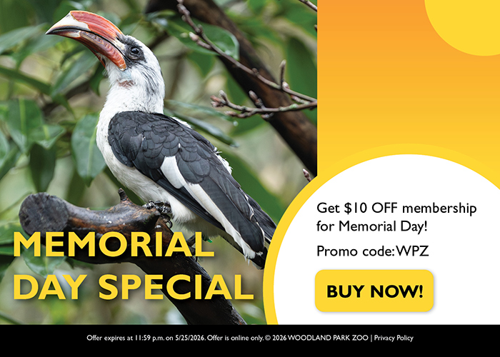 A black and white bird with a large beak perches on a branch. Text reads: Memorial Day Special. Get $10 OFF membership for Memorial Day! Promo code: WPZ. Buy Now! Woodland Park Zoo promotion.