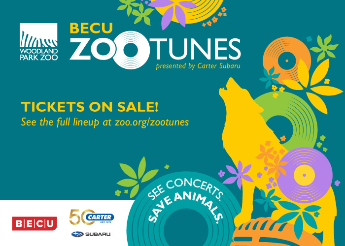Colorful promotional poster for Woodland Park Zoo’s ZooTunes concert series, featuring a yellow wolf howling amid floral and circular designs, with text announcing tickets on sale and a message to see concerts, save animals.