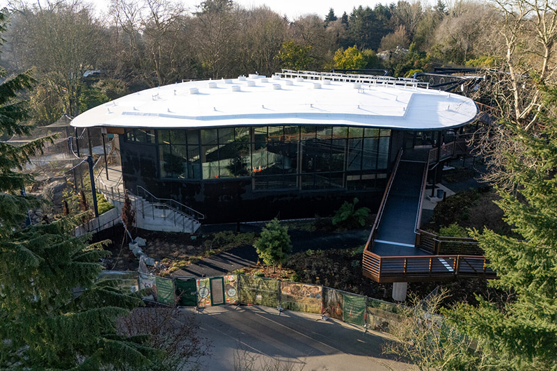 A modern, oval-shaped glass building with a white roof is surrounded by trees and greenery. There is a ramp leading to the entrance, and construction fencing with animal images along the front.