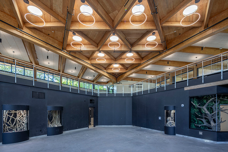 Spacious modern interior with high wooden ceiling, circular lights, dark walls, large windows, and cylindrical display enclosures along the walls.