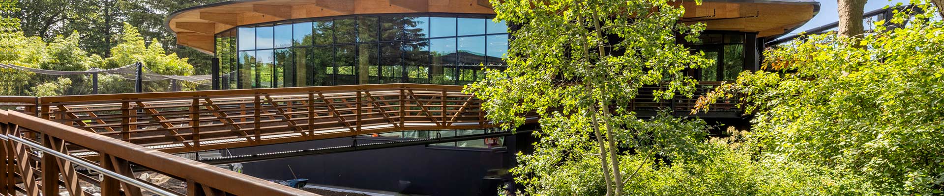 A modern building with large glass windows is surrounded by trees. A wooden pedestrian bridge leads to the structure, blending architecture with the natural forested environment.