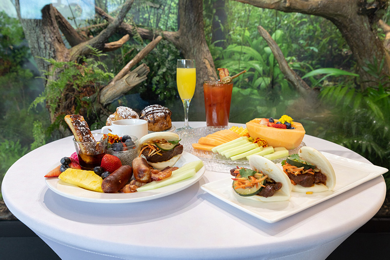 A round table set with a variety of brunch foods, including bao buns, sausages, bacon, fruit, pastries, and sliced vegetables, with two drinks. A lush green forest is visible in the background.