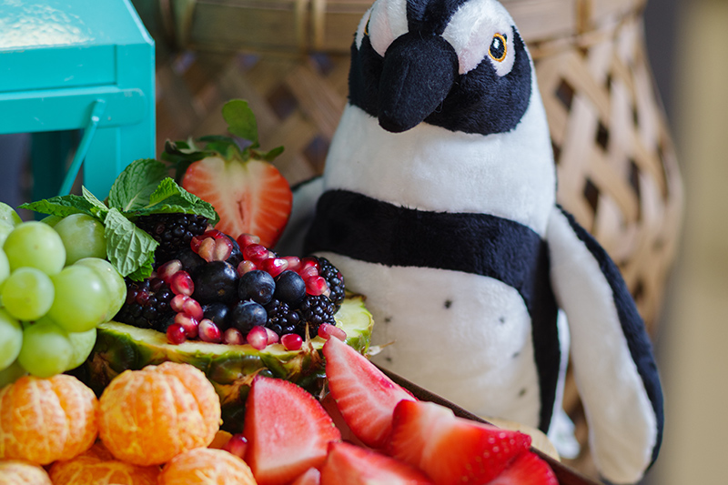 A plush penguin toy sits beside a tray of fresh fruit, including grapes, strawberries, blackberries, orange slices, and pomegranate seeds, with a wicker basket in the background.