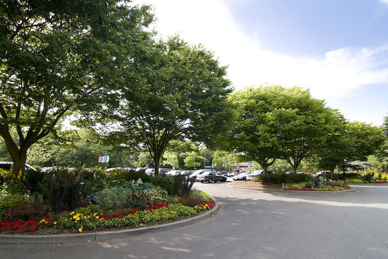 A curved driveway bordered by colorful flowerbeds and leafy green trees, with parked cars visible in the background under a clear blue sky.