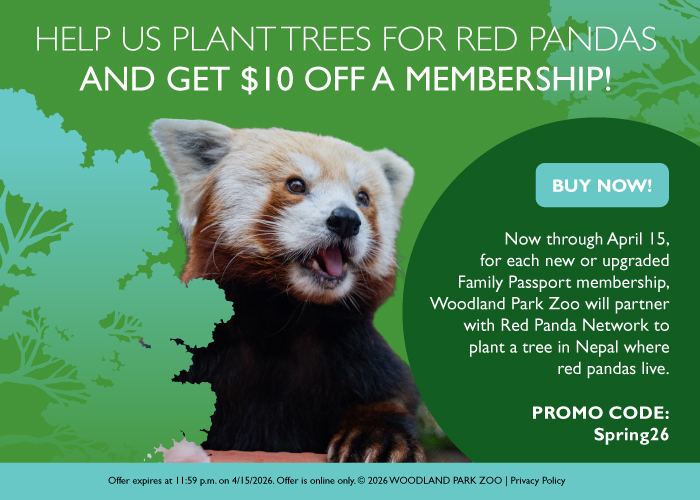 A red panda is shown in front of a green background with leafy silhouettes. Text promotes a $10 membership discount for planting trees for red pandas, including a promo code Spring26 and a call to buy now.