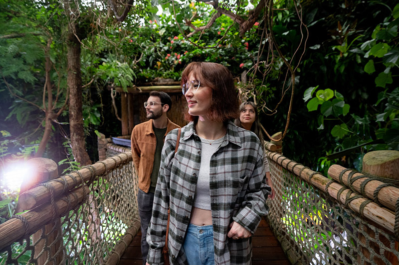 Three people walk on a  bridge surrounded by lush green plants and trees, looking around and enjoying the scenery in what appears to be a tropical or indoor garden.