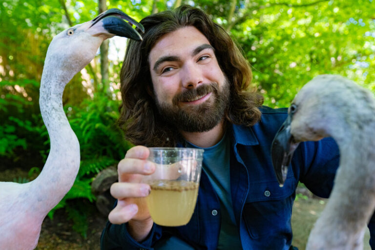 A man with long hair and a beard smiles while holding a drink, with two flamingos close to him, one on each side. The background is lush greenery, suggesting an outdoor setting.