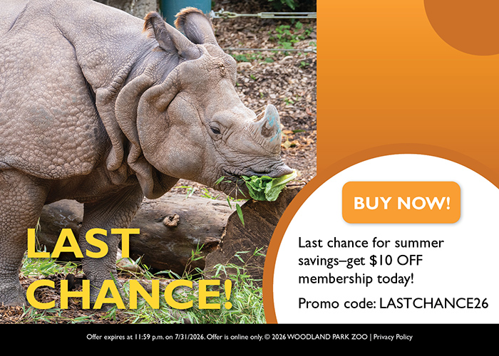 A rhinoceros eating leafy greens with text: “LAST CHANCE! Last chance for summer savings—get $10 OFF membership today! Promo code: LASTCHANCE26. BUY NOW!” Offer expires July 31, 2026.