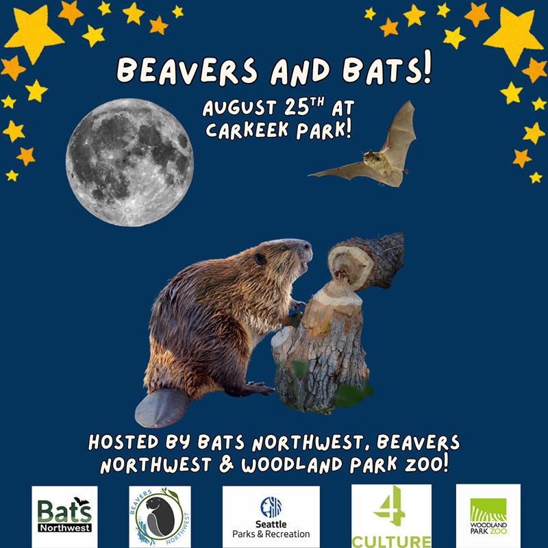 Event flyer with stars, a moon, a flying bat, a beaver, and a carved beaver statue. Text reads: Beavers and Bats! August 25th at Carkeek Park! with logos of sponsoring organizations at the bottom.